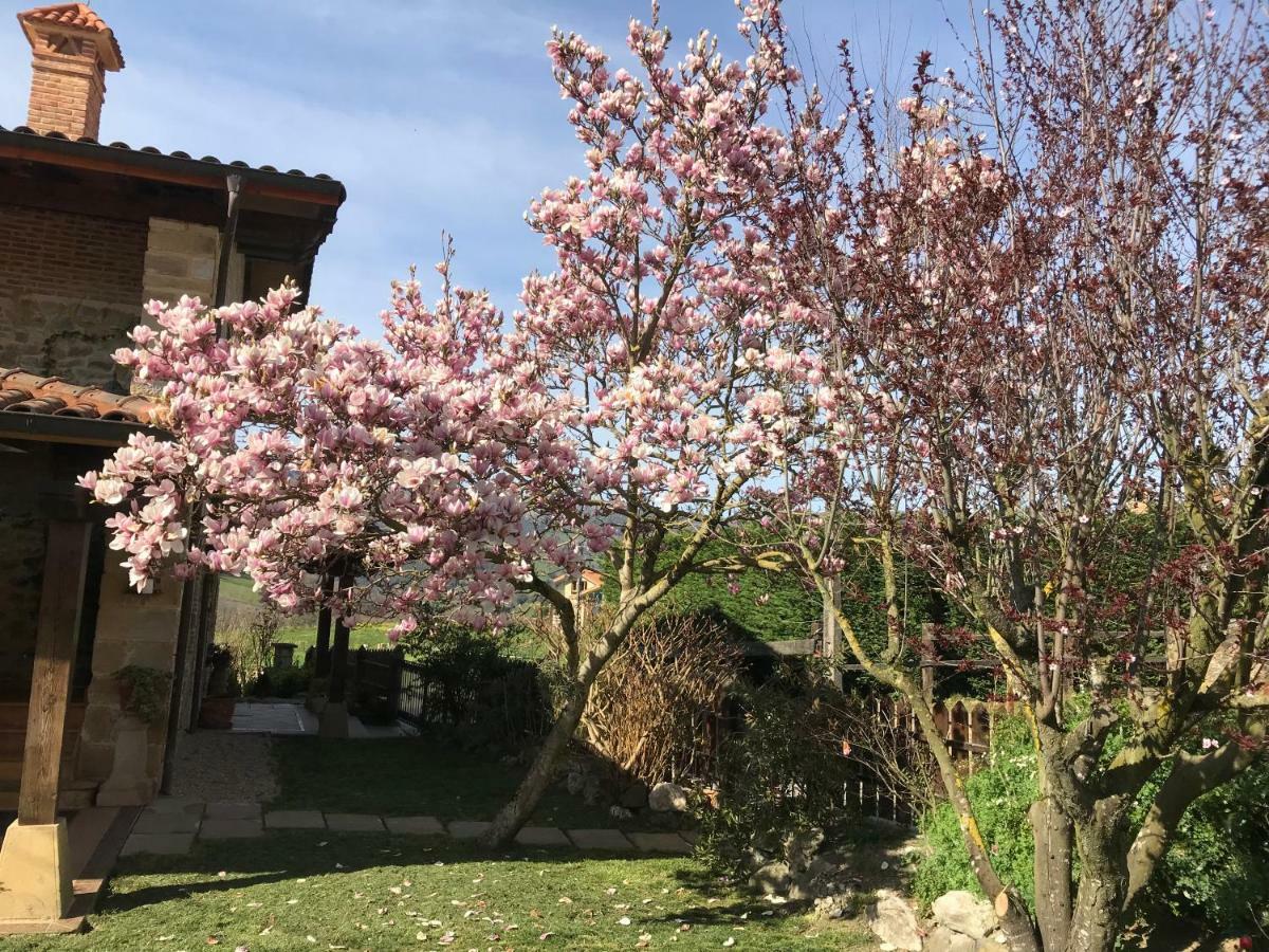 Vitori'S House Tourist Accommodation Ahedo Exterior foto